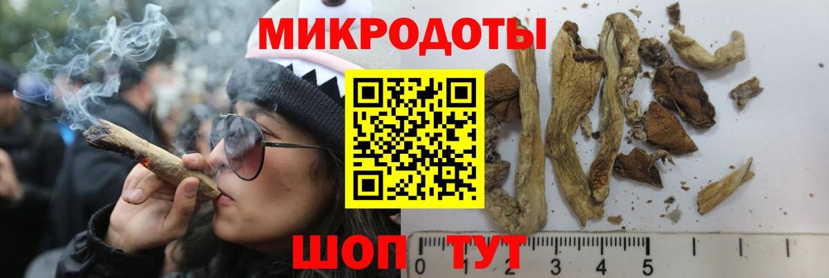купить   Вход с VPN  Белебей  Галлюциногенные грибы Psilocybine cubensis 